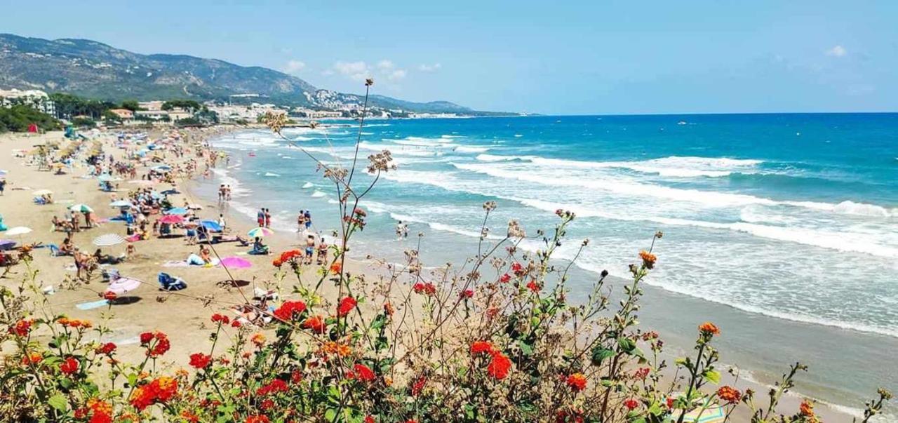 Villa Paula Alcossebre Mar Y Montana Екстериор снимка