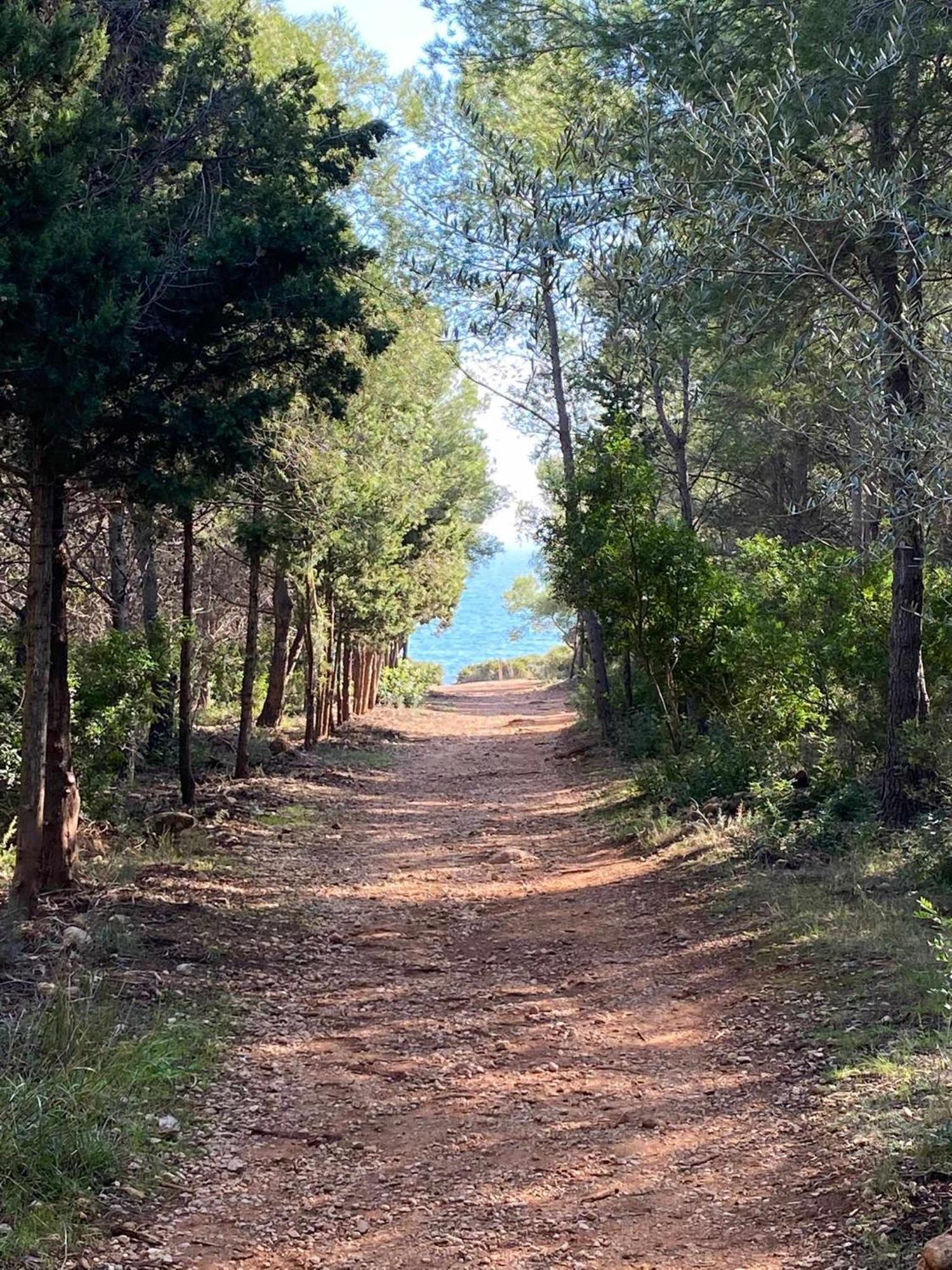 Villa Paula Alcossebre Mar Y Montana Екстериор снимка
